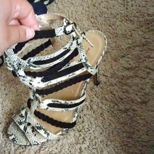 Nika Black and white snake skin